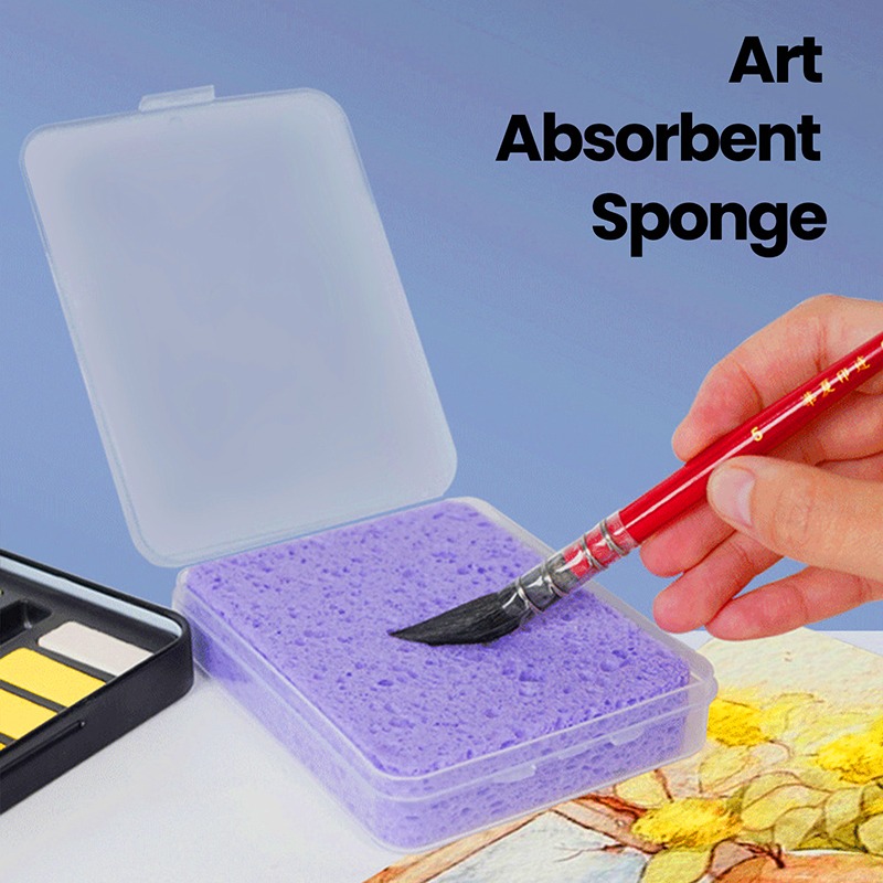 Verpackter Aquarell-Pigment-Re – Eco Sponge Bewertung und Preis